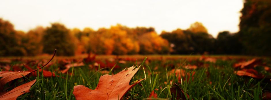 Herbstblues? Keine Chance! – Gut gelaunt durch die Herbstzeit