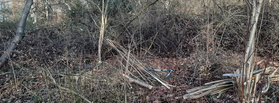 Endspurt in der Hecke: Frist zum Gehölzschnitt endet am 28. Februar!