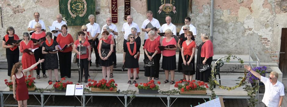 Gemischter Chor lädt zur musikalischen Reise durch Europa