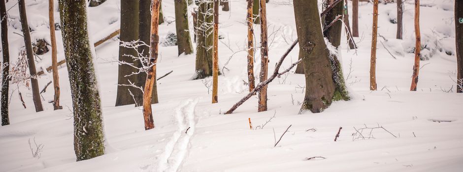 Winterwanderung FF Sunzendorf