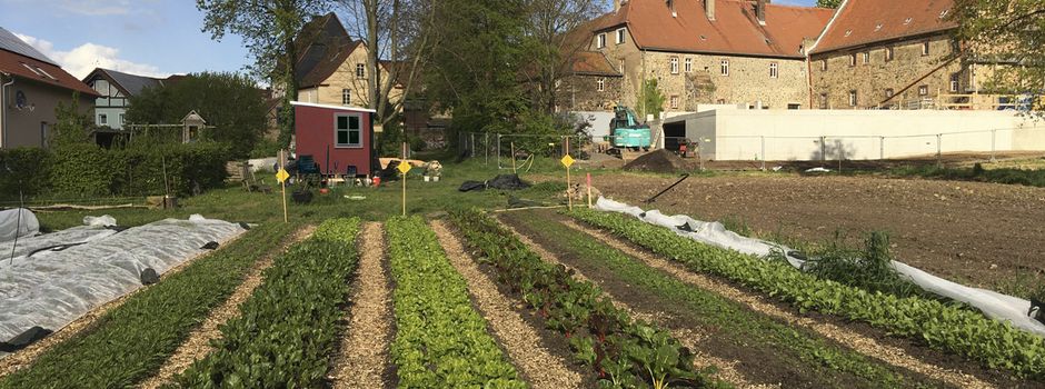 Demokratie im Klostergarten: Gemeinschaft erleben in Ilbenstadt