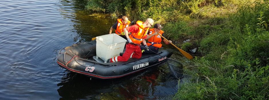 Feuerwehr Herzebrock-Clarholz sammelt tote Fische in der Ems