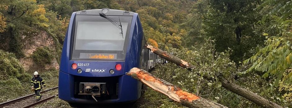 Bad Kreuznach: Zug mit 288 Passagieren prallt gegen Bäume