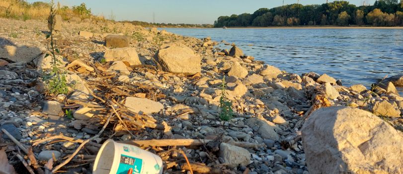 RhineCleanUp in Niederkassel: Große Müllsammelaktion am 10.09.2022