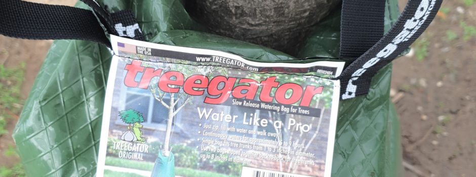 „Treegator“ - ein neues Bewässerungssystem für junge Bäume in Niederkassel