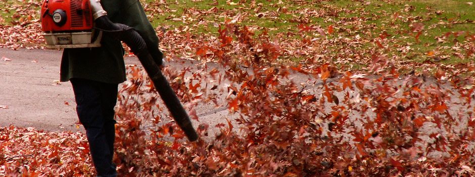 Warum setzt die Mainzer Stadtverwaltung weiter auf Laubbläser?