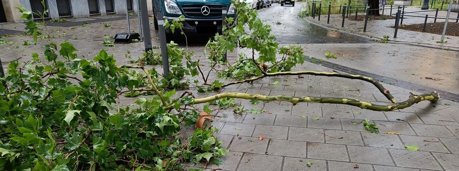 Heftiges Unwetter sorgt für Feuerwehreinsätze in Mainz
