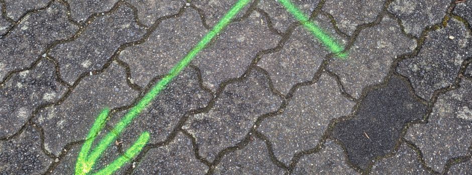 1. Trassenbegehung Glasfaserausbau in der Ortsgemeinde