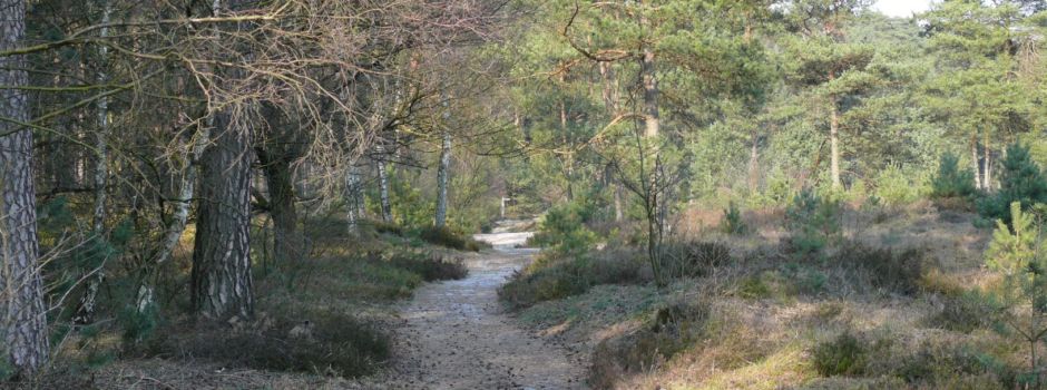 VNP: Ausreichend Möglichkeiten, sich in der Natur „aus dem Weg zu gehen“