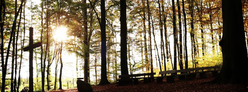 Gedenkfeier im Ruhewald Nottensdorf