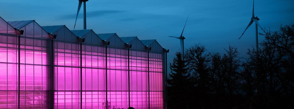 Modernstes Gewächshaus Deutschlands eröffnet in Gerbach