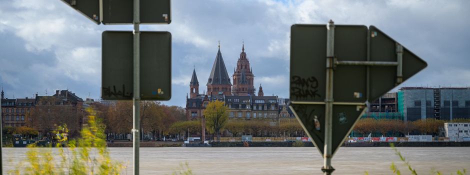 Ist der Rhein in Mainz und Wiesbaden sauber genug?