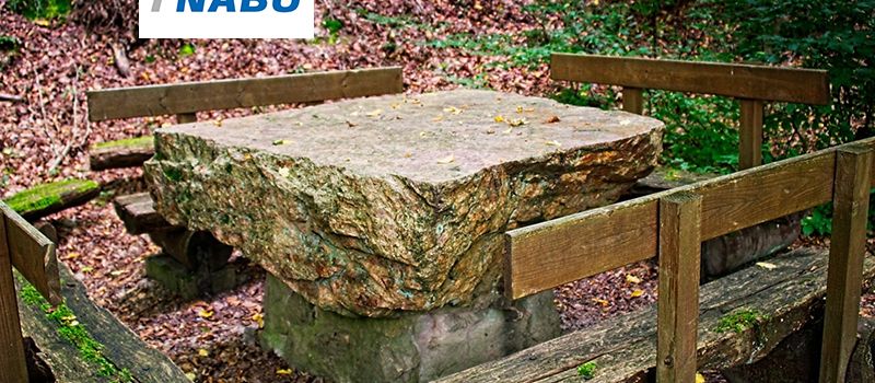 Wanderung Wald im Dombachtal