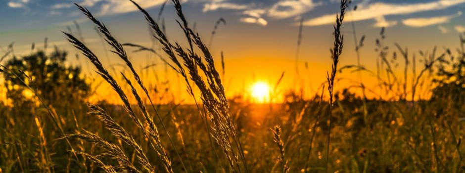Landrätin und Beigeordneter unterstützen Bauern – Wirtschaftliches Arbeiten ermöglichen