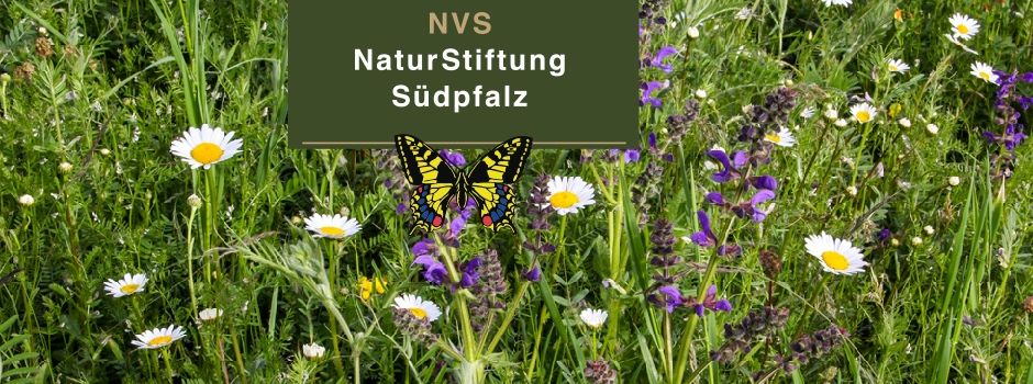 Kräuterwanderung NVS