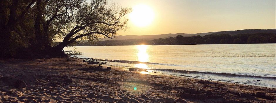 „Mombeach“: So lief der Sommer am Mainzer Rheinufer