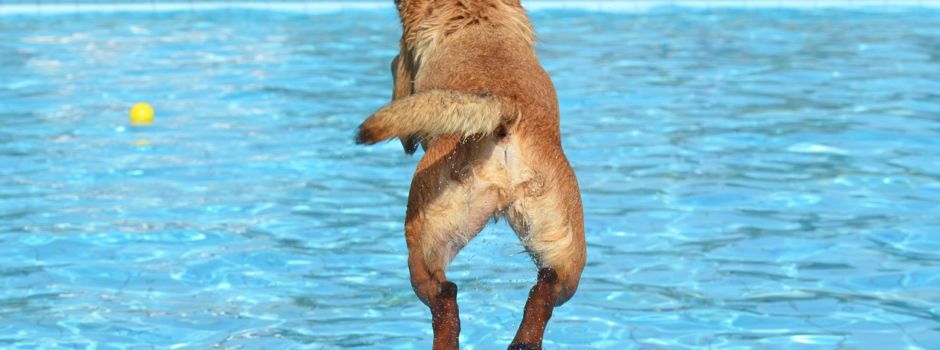 Freier Eintritt im Freibad