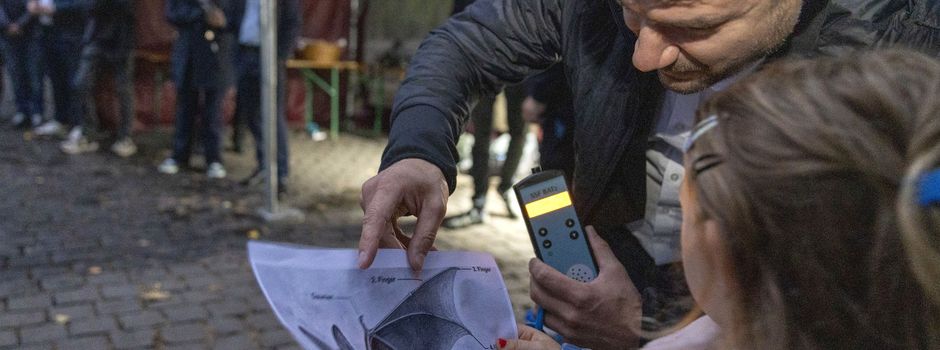 Fledermäuse werden im Burggarten hörbar