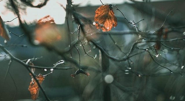 7 Dinge, die ihr an Sonntagen im November in Augsburg tun könnt