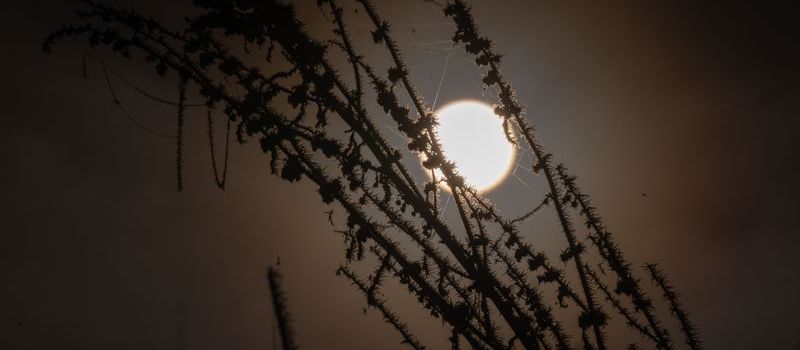Koblenz: Erst Frost, dann Sonne - und nachts wird's richtig kalt