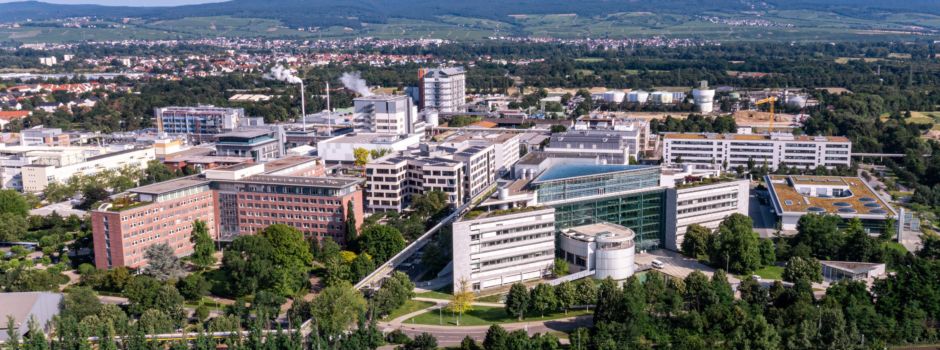 Ingelheimer (19) soll jüngster Milliardär der Welt sein