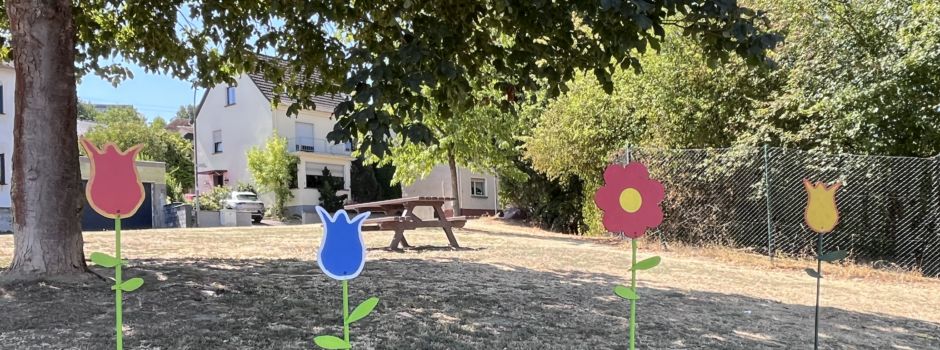 Trotz großer Dürre: Der Obst- und Gartenbauverein lässt Blumen blühen 🌷