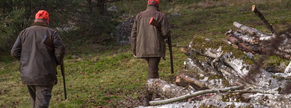 Treibjagd in Gehlert