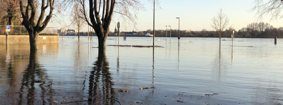 Hochwasser in Niederkassel - wie geht es weiter?
