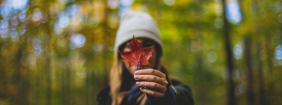Klopf, klopf, der Herbst ist da: Tipps fürs Wochenende in Augsburg