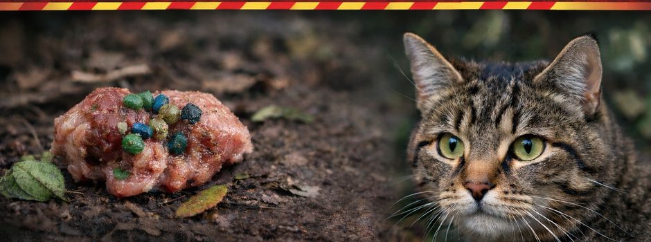 Warnung vor Giftködern im Bereich Großblöcken