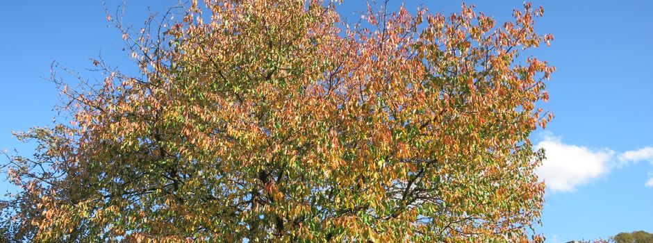 Entdecke Deine Grenzen – Teil 3