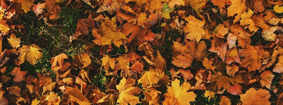 Cozy Season in Augsburg: 7 Ideen für den Herbst