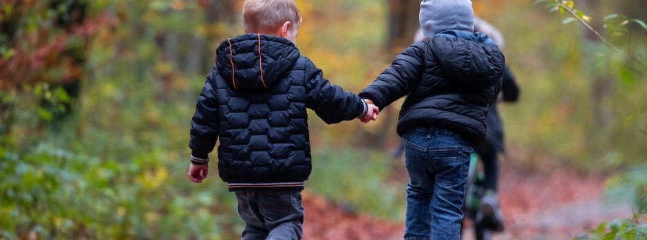 WALDTage FÜR KIDS: Sommer im Wald