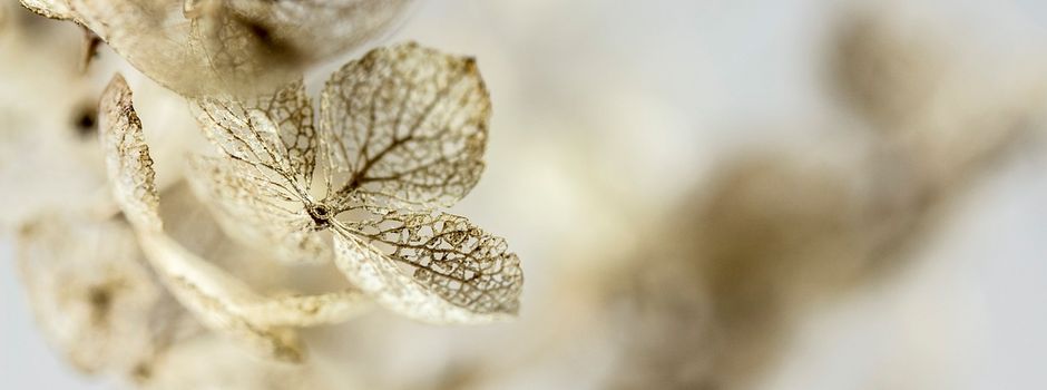 Feierstunde zum Volkstrauertag am 16.11.25