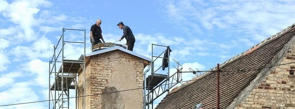 Trafoturm wird zum Artenschutzprojekt