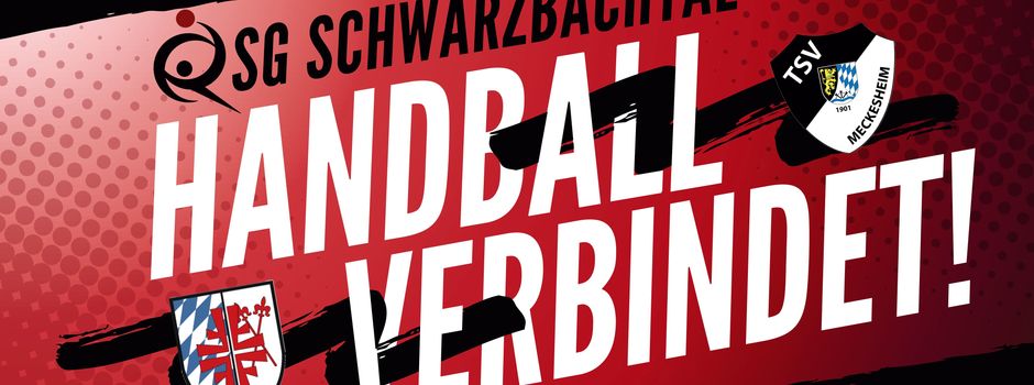 TV Handball - Saisonberichte