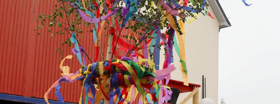 GEWINNSPIEL: Niederkassels tollster Maibaum