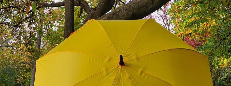 „KunstOffen“ 2024