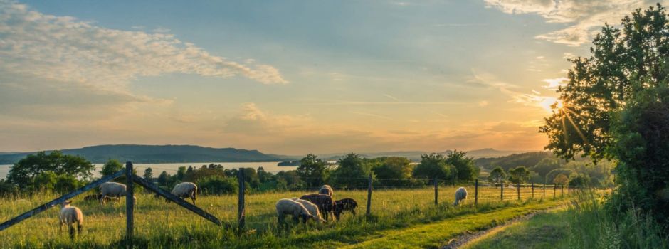 Darf´s was aus der Heimat sein?