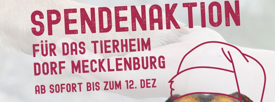 🎄🐾 Mach mit und schenke Tieren in Not ein Weihnachtsfest!