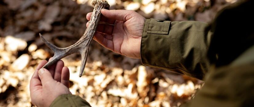 Einladung Jagdgenossenschaftsversammlung Jatzke