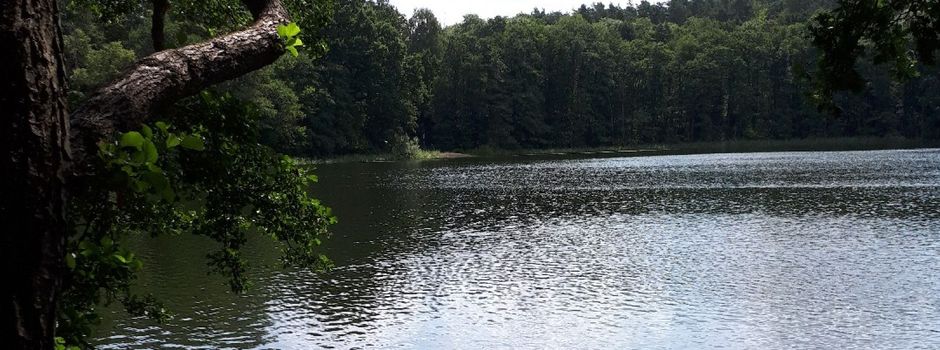 Badesee schrumpft: Problem für Besucher und die Feuerwehr