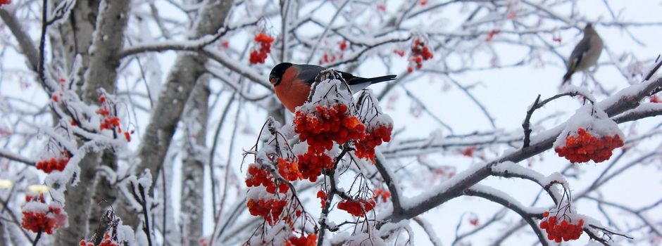 Wir passen aufeinander auf