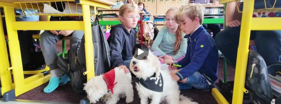 Schulhunde "Sky" und "Savo" sorgen für jede Menge Motivation