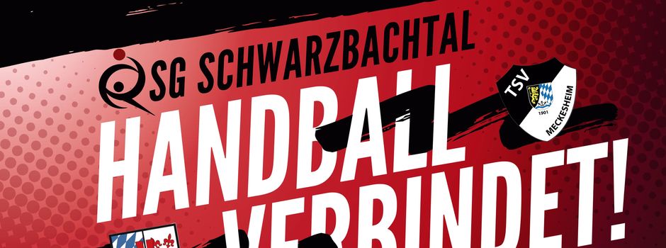 Ergebnisse und Vorschau TV Handball