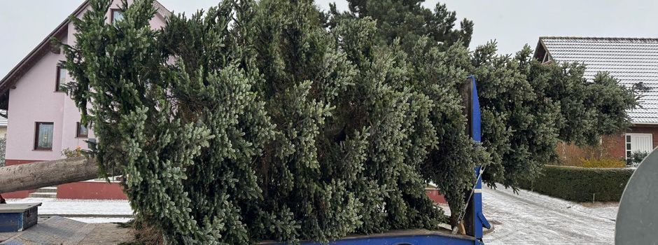 Weihnachtsbaum 2026 gesucht