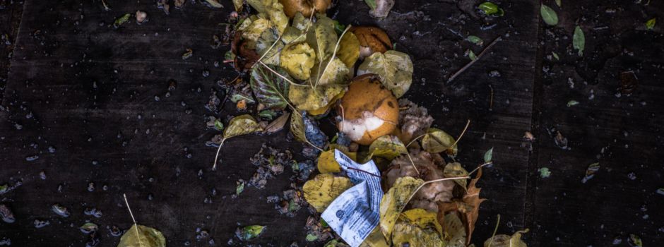 Containern – Lebensmittelretten in der rechtlichen Grauzone