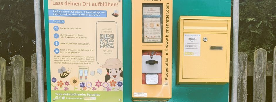 Bienenfutterautomat in Dollern