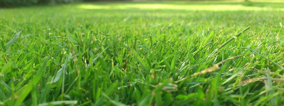 Mäh- und Pflegearbeiten auf Spielplätzen und öffentlichen Anlagen