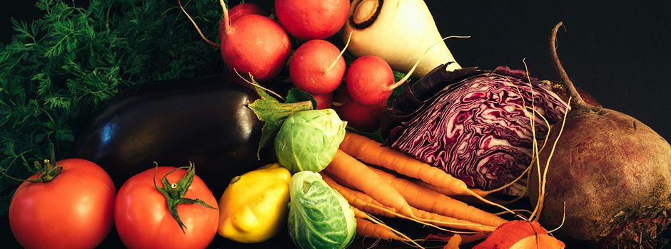 Saisonstart im Grünen: Solawi Feldkultur lädt zum Frühjahrsputz und Entdecken ein